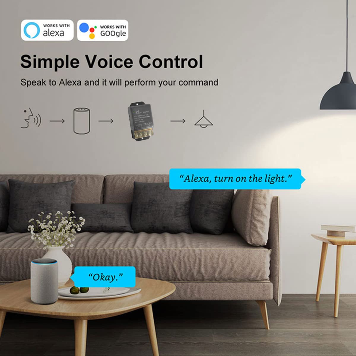 30A Hight Power WiFi Wireless Smart Switch, DIY Module for Smart Home Automation, ewelink APP Remote Control, Timer, Compatible with Alexa & Google Home