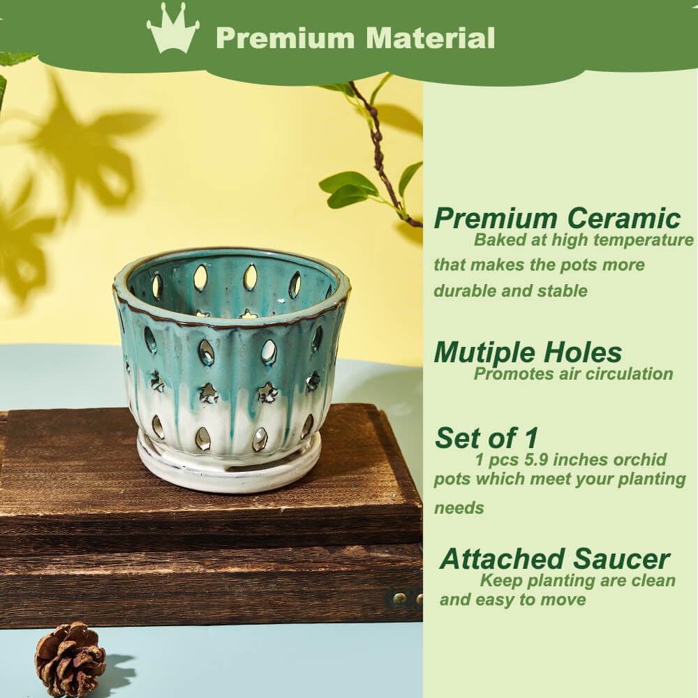NiSevenLiving Orchid Pots with Holes Attached Saucers 6 Inches - 1 Pcs Small Ceramic Pots for Repotting, Decorative Ceramic Orchid Planter with Hole for Healthy Root Growth Green Over White