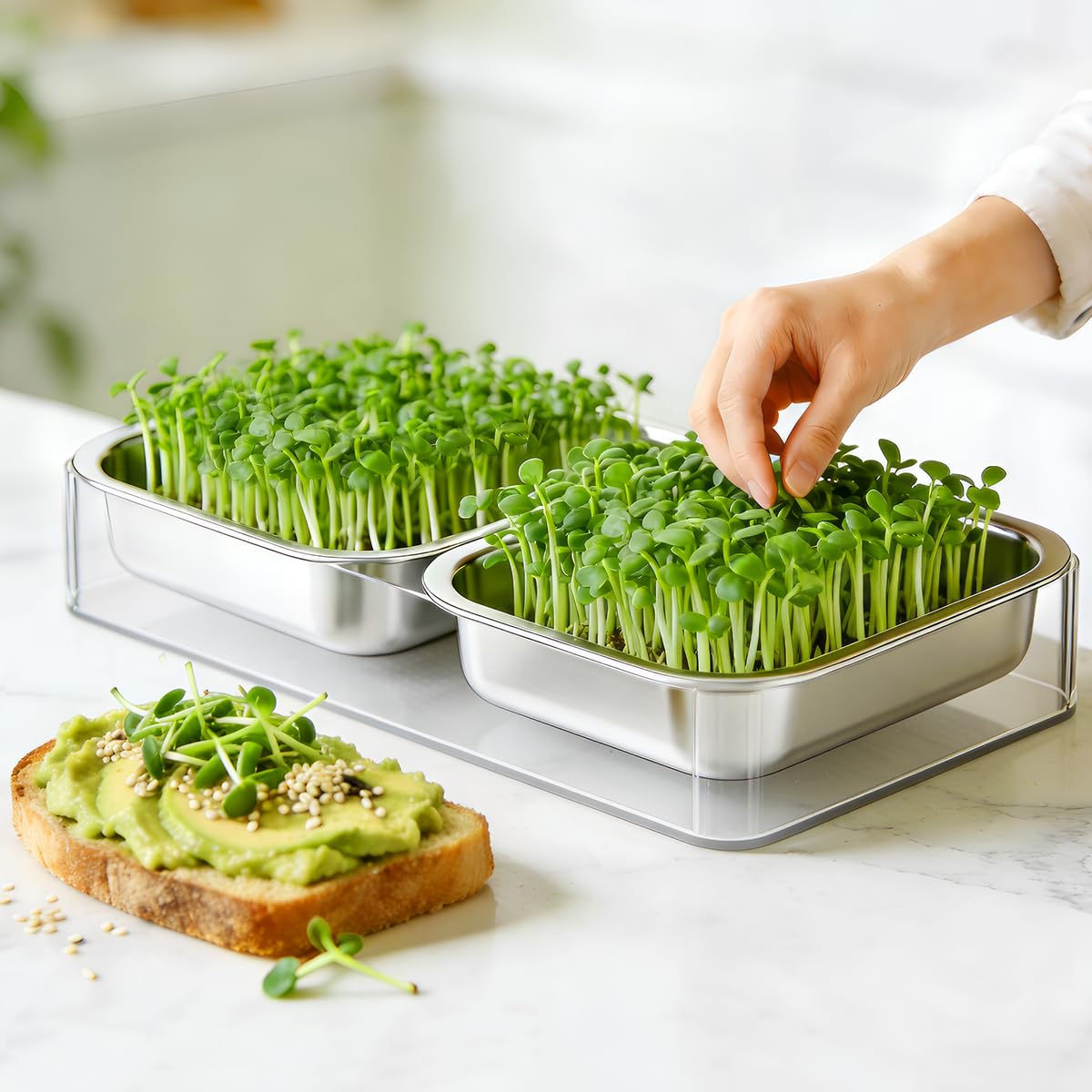 FANHAO Upgraded Visual Seed Sprouter Tray, Stainless Steel Soil-Free Cultivation Germination Tray with Acrylic Base, Healthy Microgreens Growing Kit for Indoors Sprouting Seeds, Grow Grass, Beans