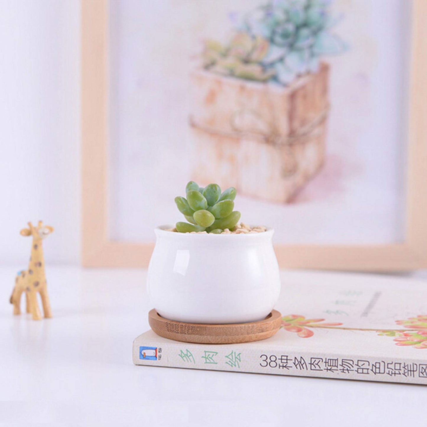 Brajttt Succluent Pots ，Small Flower Pots Planter Pots with Drinage,Ceramic Flowers Pots with Bamboo Tray for Cactus(12 Pack