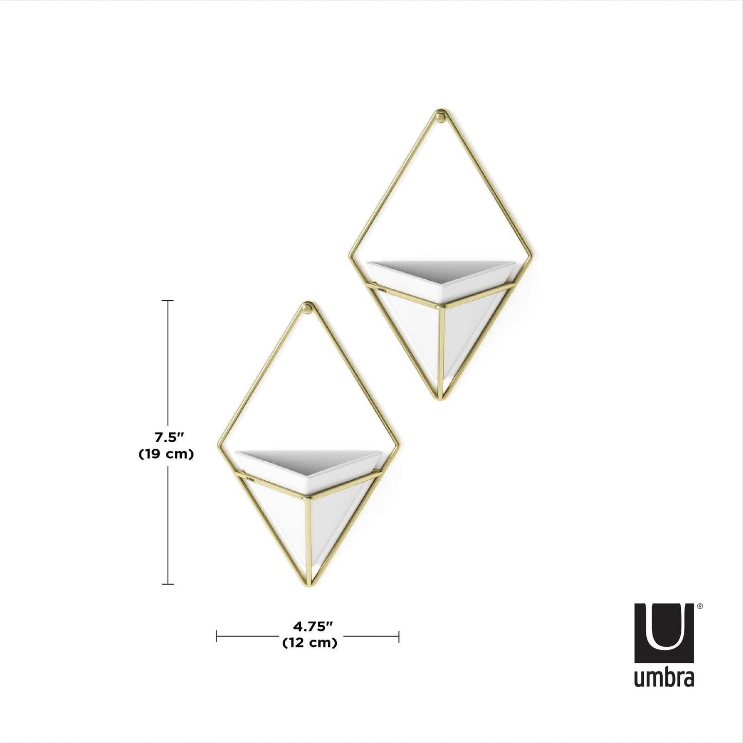 Umbra Trigg Hanging Planter Vase Wall Decor, Set of 2 Pots Containers for Succulents, Cactus, Faux Plants, and More, Small, White/Brass