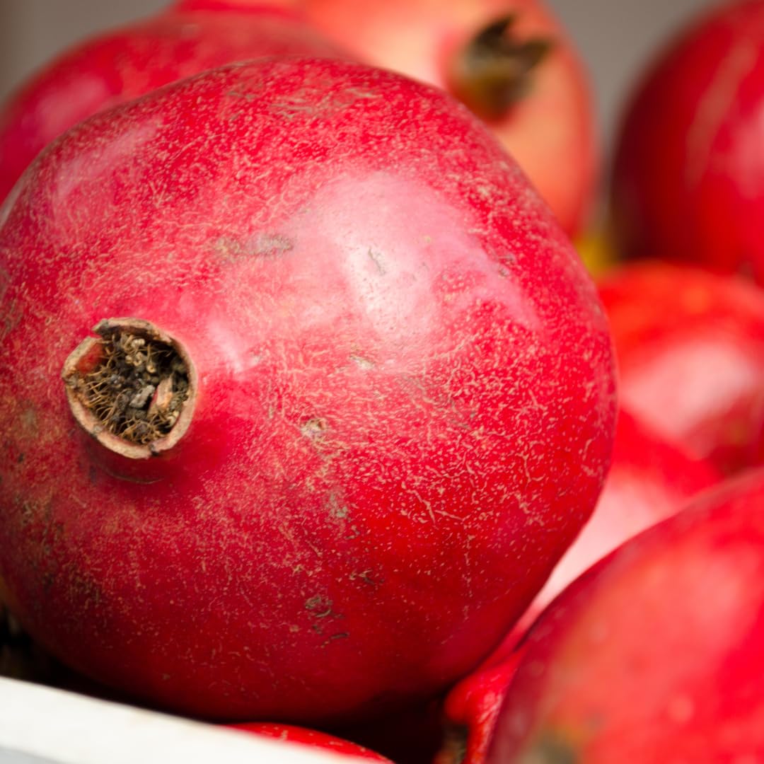 3 Pomegranate Trees Live Plants Cold Hardy, Large Sweet Fruit Pomegranates Plants Well-Rooted, 5-9 Inches Tall, No Pot
