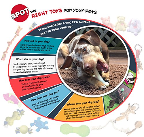 SPOT Ethical Pet Interactive Seek-A-Treat Shuffle Bone Toy Puzzle That Will Improve Your Dog's IQ, Specially Designed for Training Treats