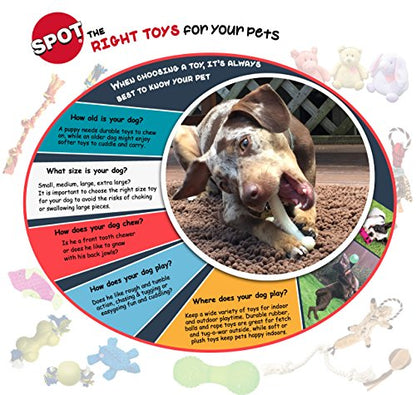 SPOT Ethical Pet Interactive Seek-A-Treat Shuffle Bone Toy Puzzle That Will Improve Your Dog's IQ, Specially Designed for Training Treats