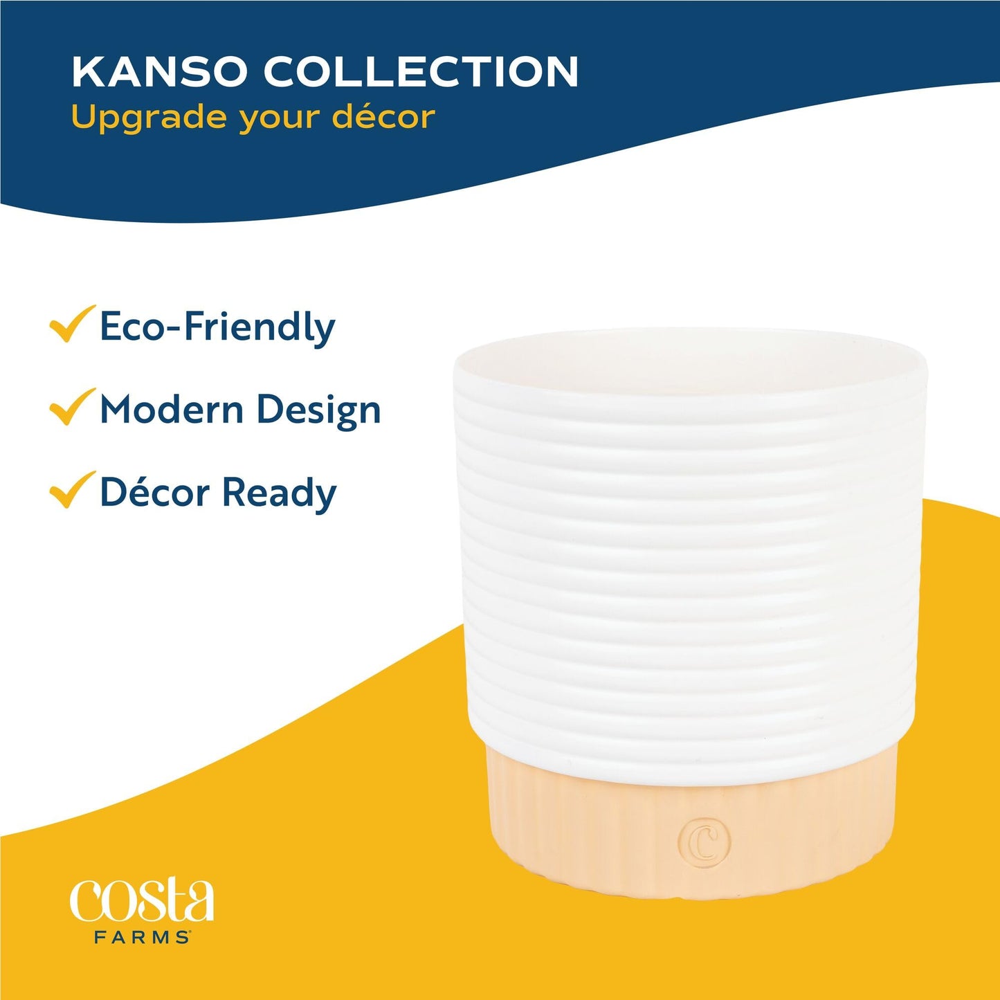 Costa Farms Live Indoor Houseplants (2 Pack) Peace Lily, Chinese Evergreen in Decor Planter Pot, Potting Soil Mix, Birthday, Housewarming Gift, 1 Foot Tall