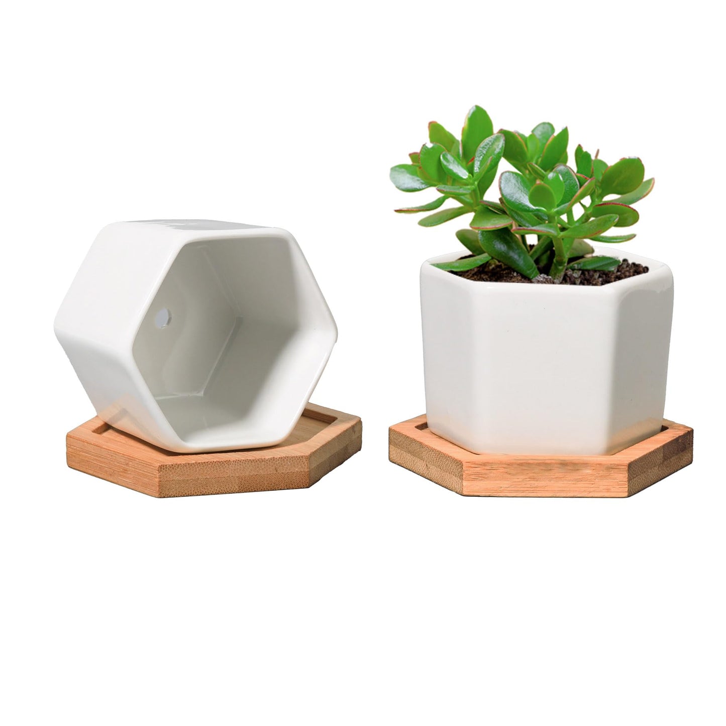 T4U Small White Succulent Planter Pots with Bamboo Tray Hexagon Set of 2, Geometric Ceramic Cactus Plant Holder, Succulent Plant Gifts for Gardener Women Coworker, Home Office Table Desk Decoration