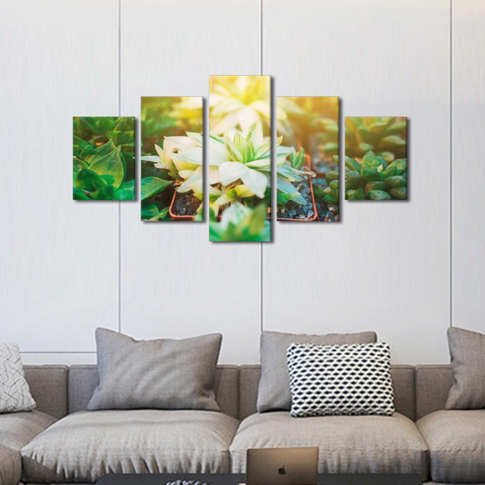 Framed Wall Art 5 Panel Collection of Succulents, Cacti, Echeveria Kalanchoe and Succulent House Plants Poster for Living Room, Wooden Framed Gallery-Wrapped Ready to Hang, 60" Wx32 H