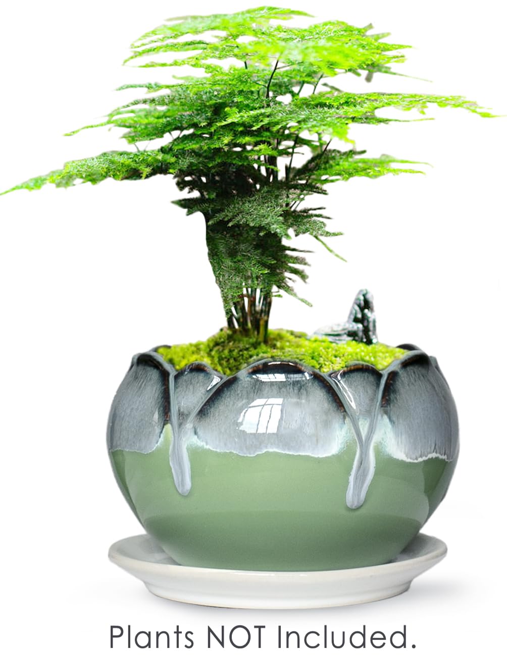 Dahlia 5.5'' Inch Rustic Drip Glazed Ceramic Planter/Succulent Pot/Plant Pot w. Saucer/Tray, Green