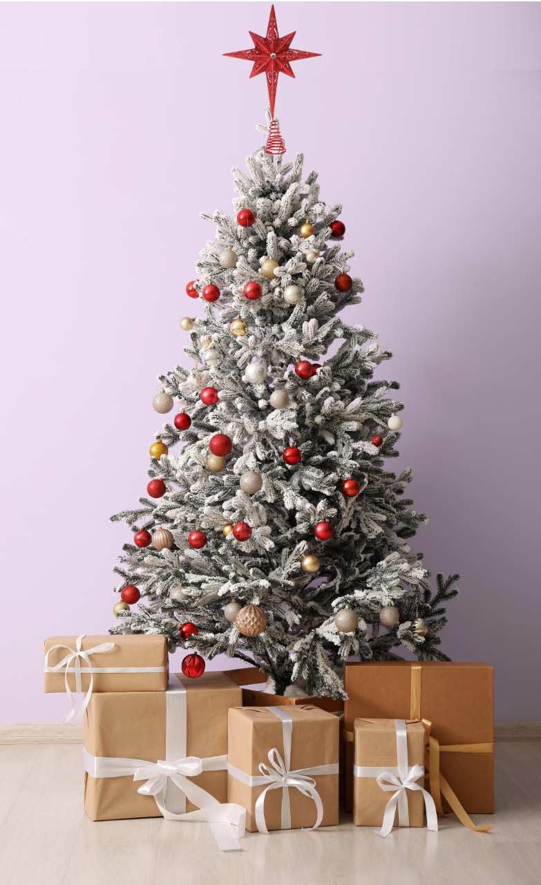 Christmas Traditions 11 inch Champagne Glittered Large Christmas Bethlehem Star Tree Topper Star for Large Tree 6 feet-8 feet Tall/Home Decor Ornaments (X'Mas Red)