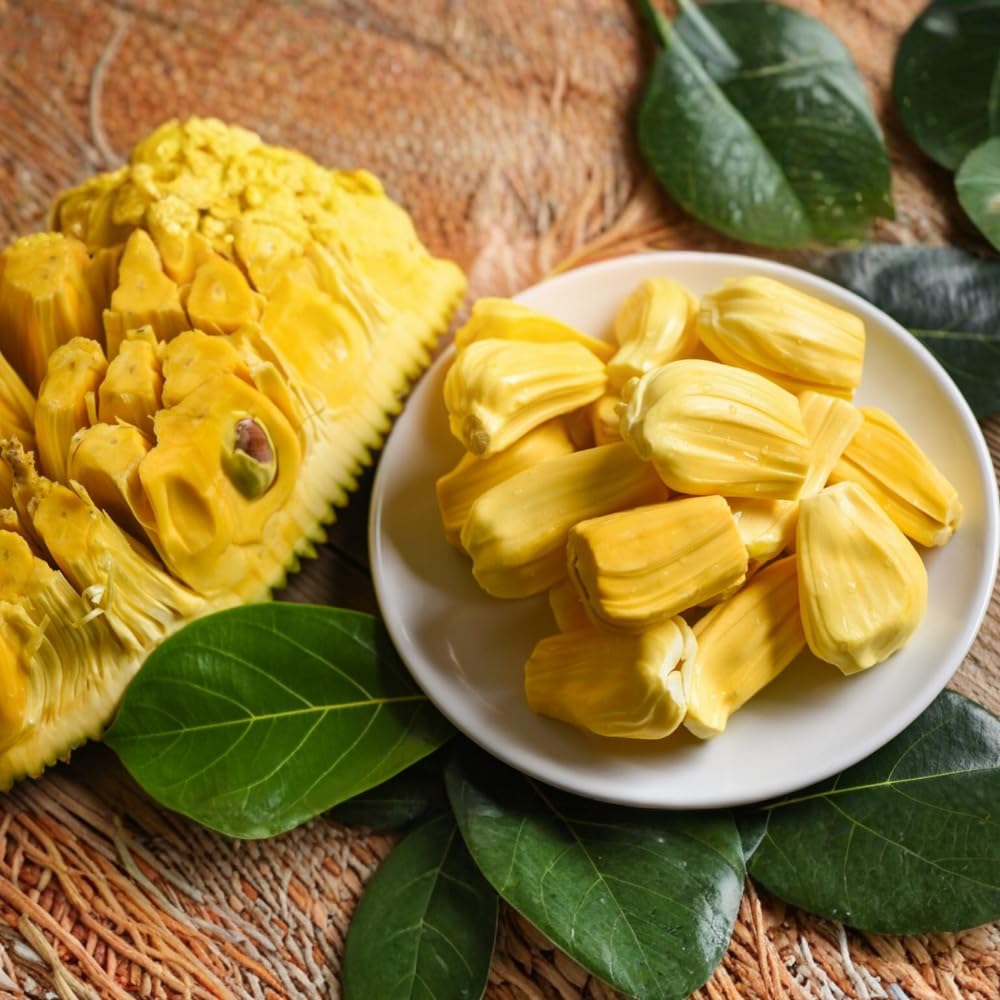 Jackfruit Live Plants, Jack Fruit Tropical Fruit Tree, Tropical Fruit Plant, 8-10 Inches in Height, 4 Inch Pot for Outdoor Planting