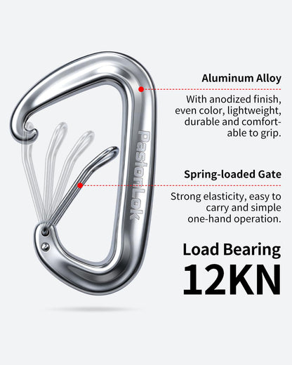 PasionLok Carabiner Clips Heavy Duty 12KN, 4 Pack Aluminum Carabiner Keychain, Small D Ring Hook for Hammock Camping Essentials, Backpack Key Ring Clip, Dog Leash, Multi Color
