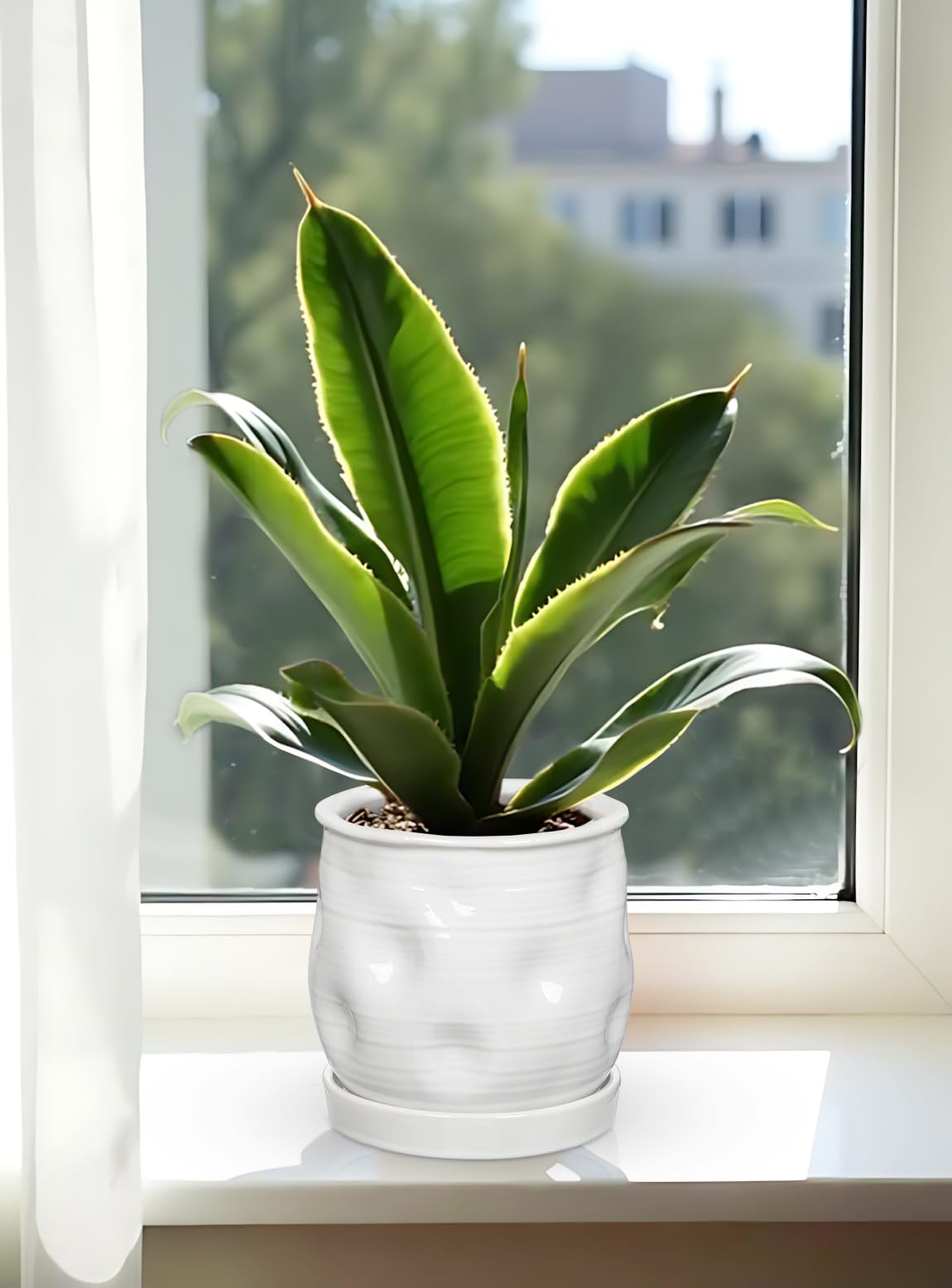 Oairse 5.7 inch Ceramic Pots for Plants, Plant Pot with Drainage Hole and Saucer White Ceramic Indoor Planter with Tray Decorative Flower Pots for Succulent, Cactus, Snake Plant, Herb Indoor Outdoor