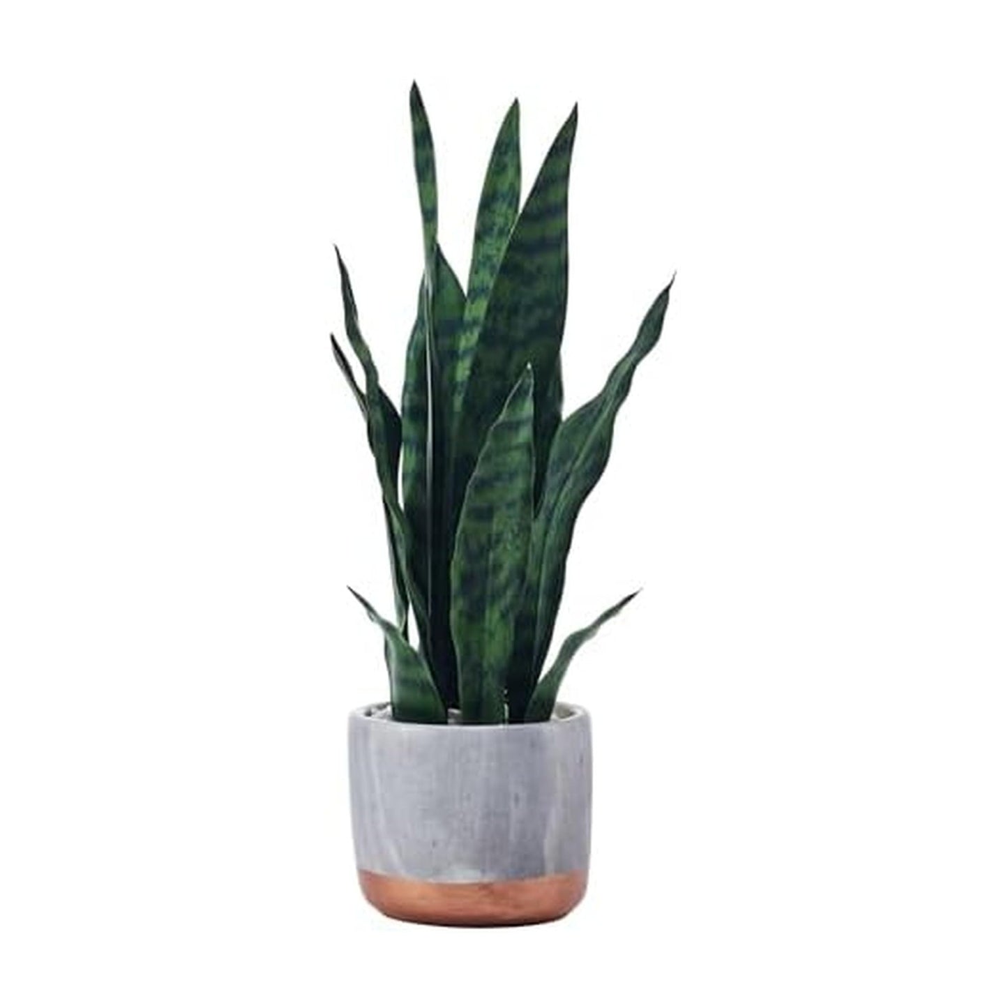 Mikasa Snake Plant in Faux Gray Marble Pot for Bathroom Farmhouse Faux Greenery Tabletop Centerpiece Mantel Office Desk Kitchen Decor, 18 inch