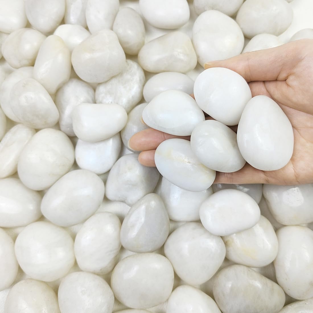 FANTIAN 10 lbs White River Rocks, 1-2 Inch Polished Pebbles for Indoor Plants, Decorative White Stones for Plants, Vase, Aquarium, Fish Tank, Landscaping and Garden
