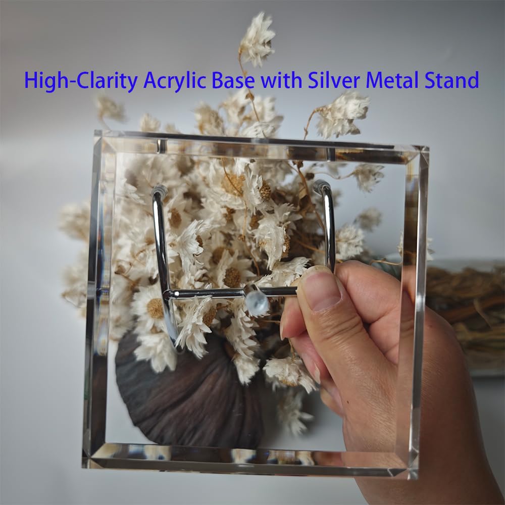 Geode Display Stand for Collectibles Crystal Holder 11 lbs Capacity Metal Easel with Protective Case, Rock Display Stand Clear Acrylic Block Mineral Specimen Holder for Irregular Stones, Specimen, Agate Coral