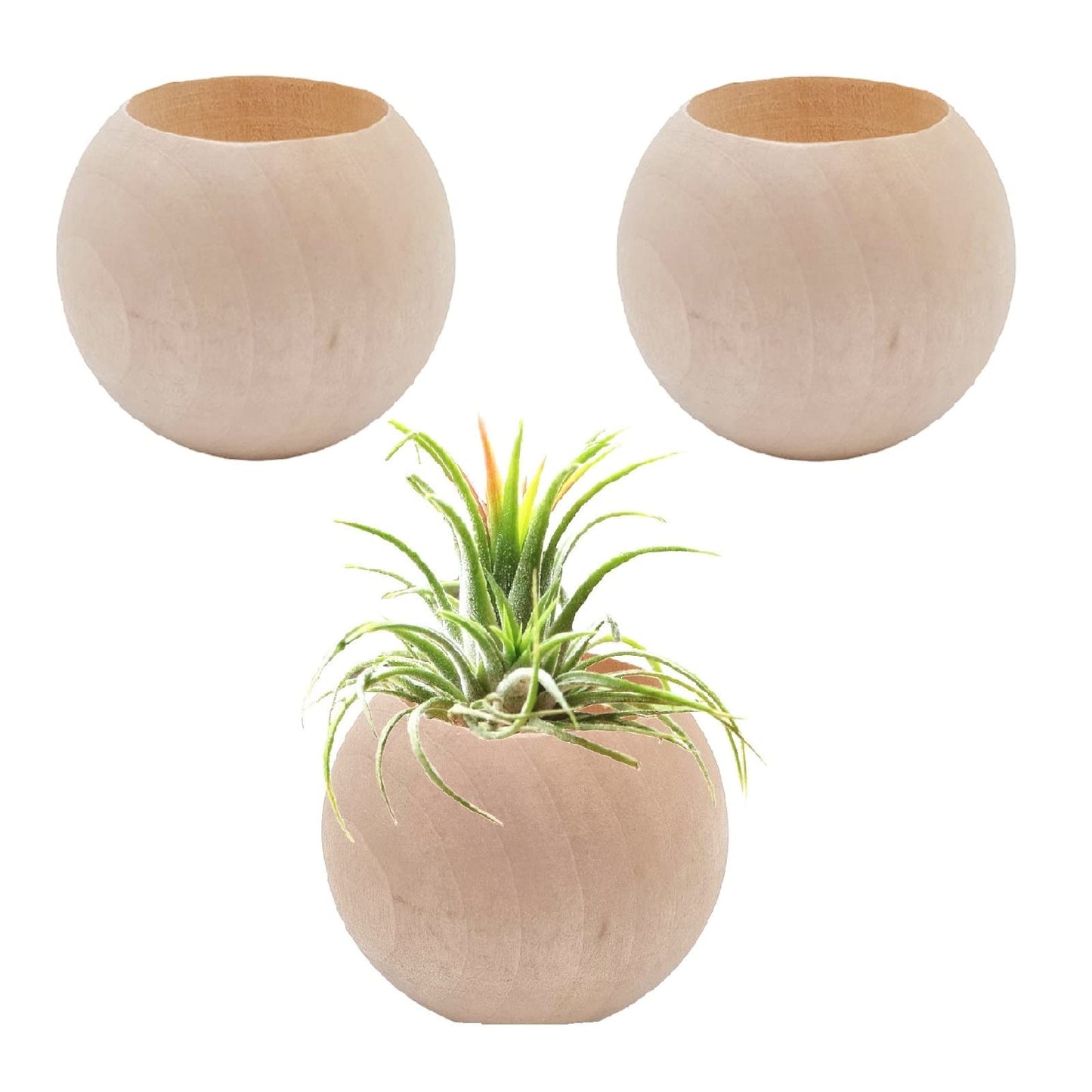 3 pcs Wood Air Plant Holder Air Plant Pots Air Plants Display Containers Table Centerpiece Succulent plants Pot for Home Office Tabletop Decor