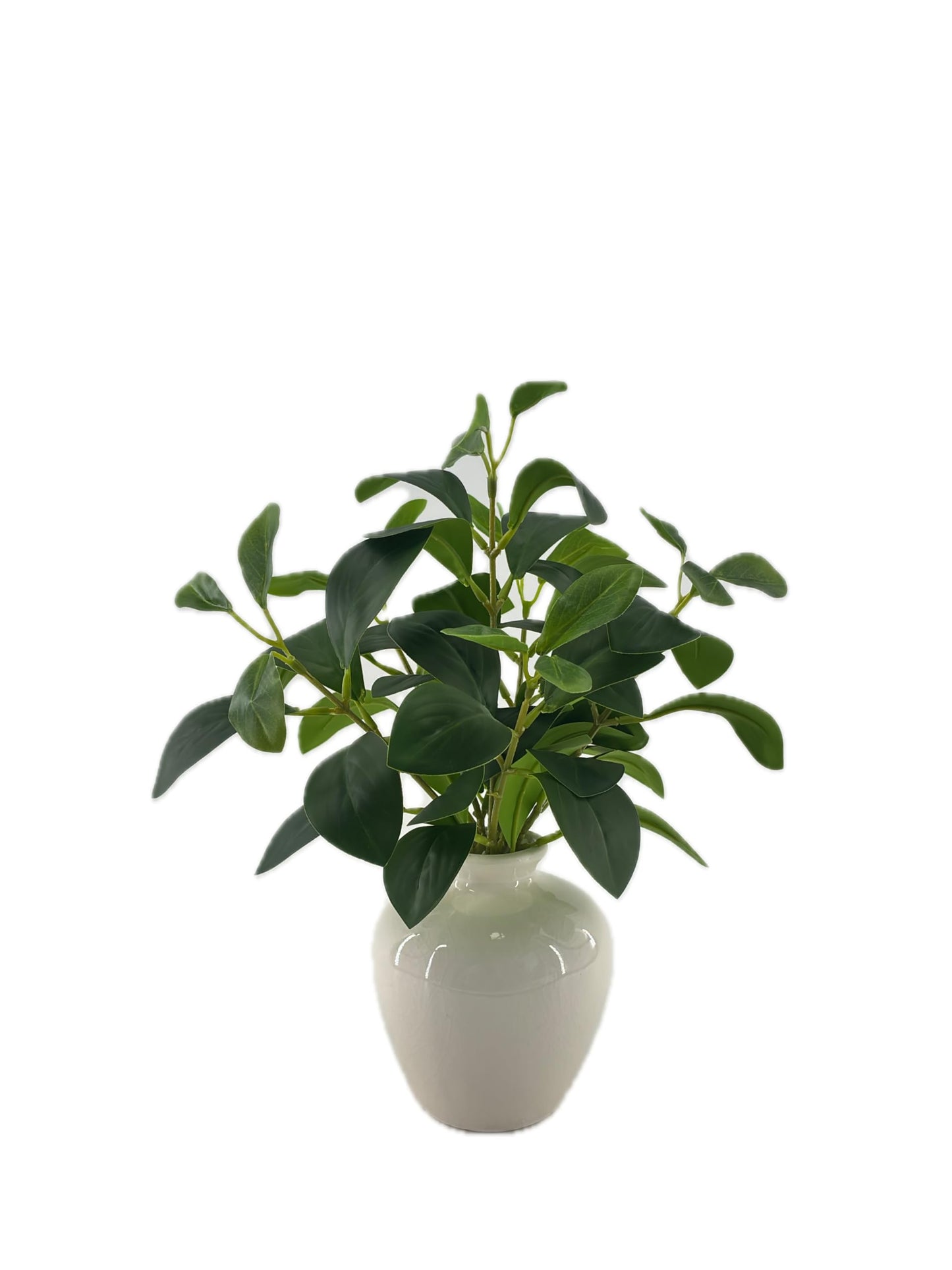 XINMAMODA 13-inch Artificial Pilea Leaves - Fake Green Plants in the Ceramic vase, Small Bedroom Faux Potted Plant, Suitable for Rustic Style bathrooms, Kitchens, desks as Decoration.
