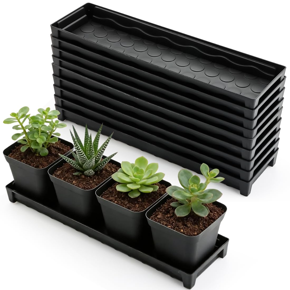 10 Pack Plastic Windowsill Plant Pot Trays (16"x5.5"x1.5"), Rectangular Window Sill Saucer with Removable Drainage Hole, Thick Plant Saucer Tray for 4 inch (10CM) Flower Seedling Pots (Black)