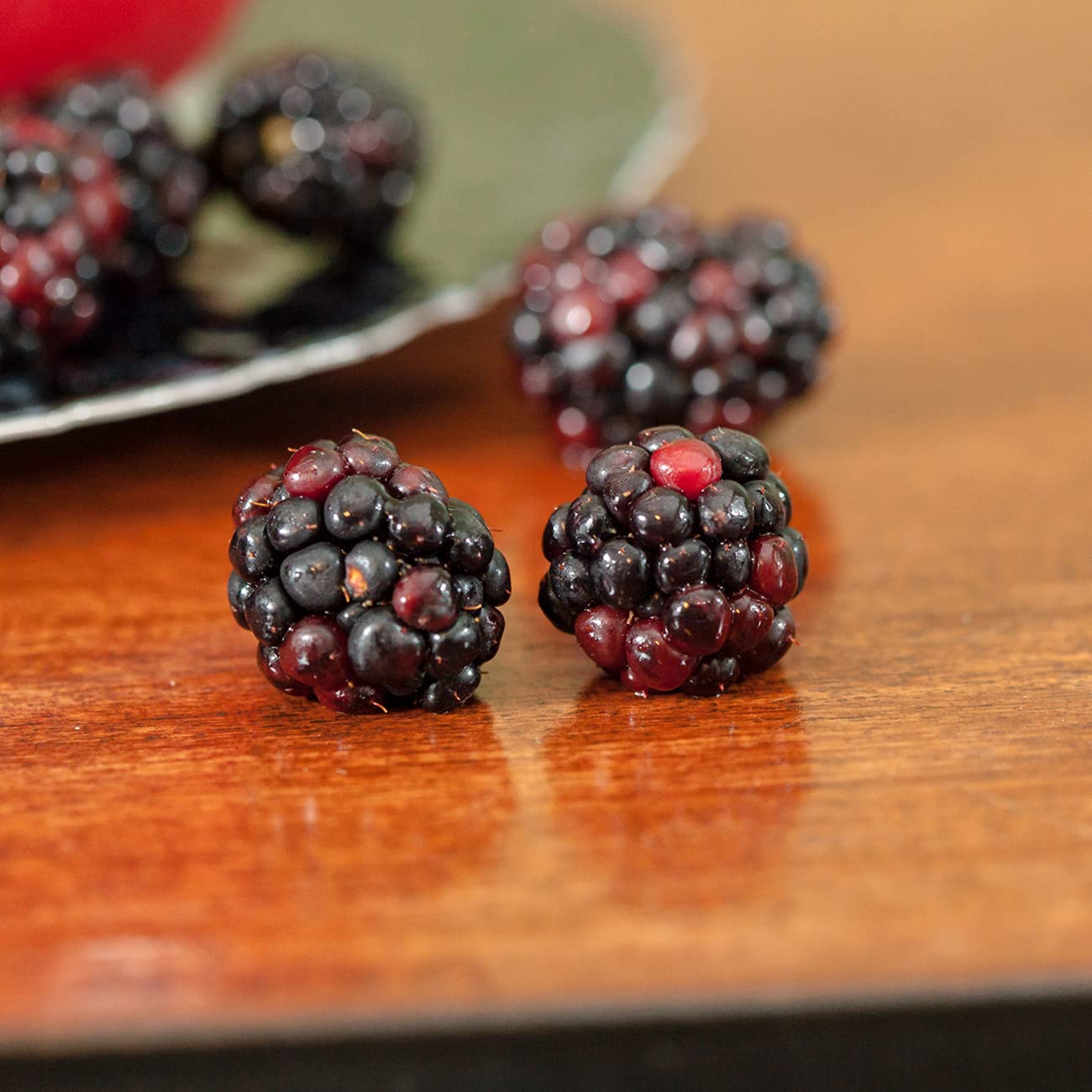 PERFECT PLANTS Perfect Plants Arapaho BlackBerry Bush 3 Gallon | Live Fruit Trees for Outdoor Planting | Self Fertile Blackberries & Thornless for Easy Picking | Sweet & Healthy Black Berries