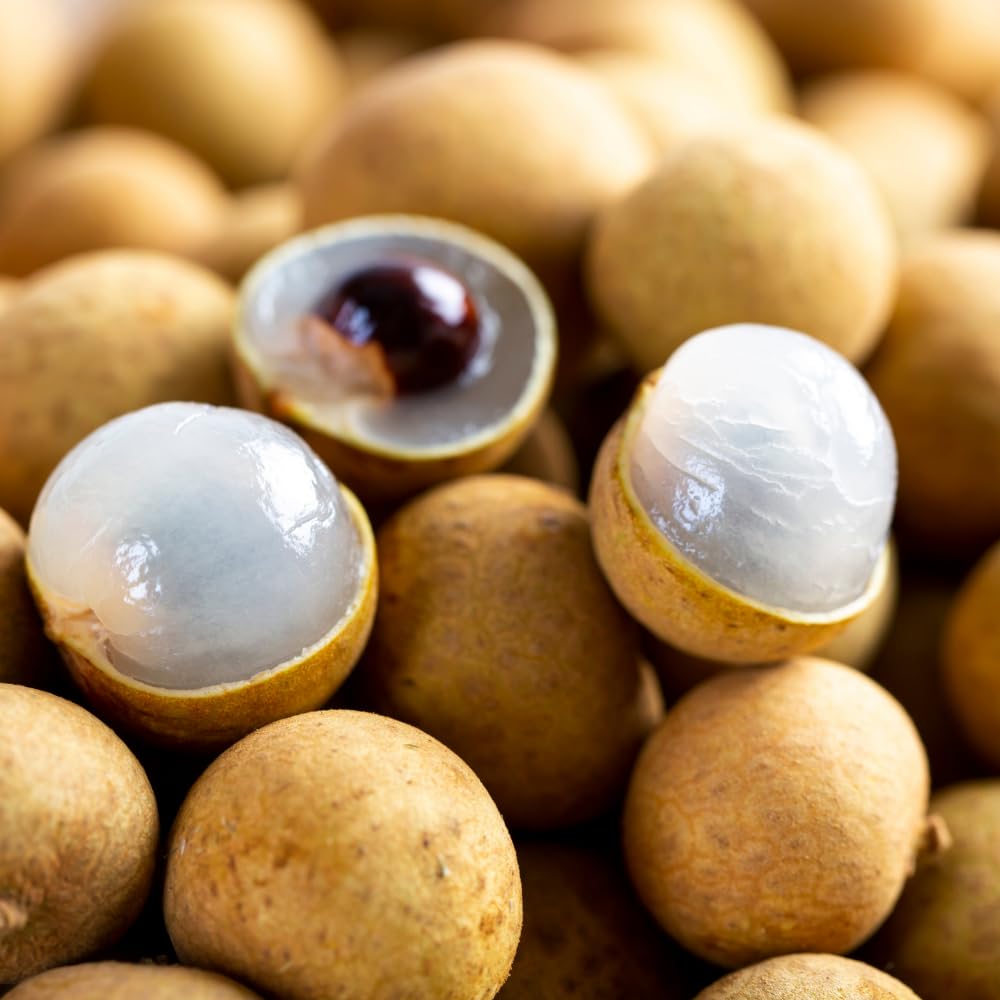 Longan Tree Live Plant, Longan Plant, Well Rooted, 2-3 Feet Tall, Edible Tropical Fruit Plant for Outdoor Planting, No Ship to CA