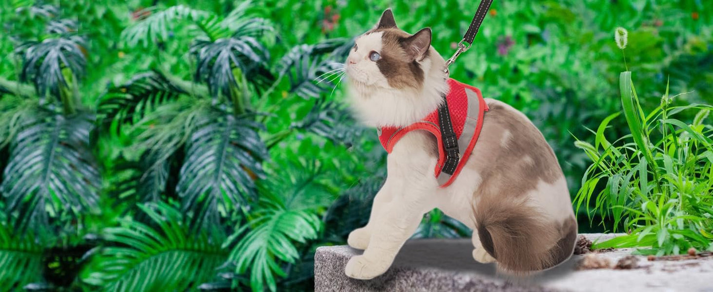 Cat Harness and Leash for Walking, Kitten Escape Proof Harnesses, Adjustable Reflective Puppy Harness with Leashes Set, Easy Adjustable Soft net Breathable Pet Safety Vest