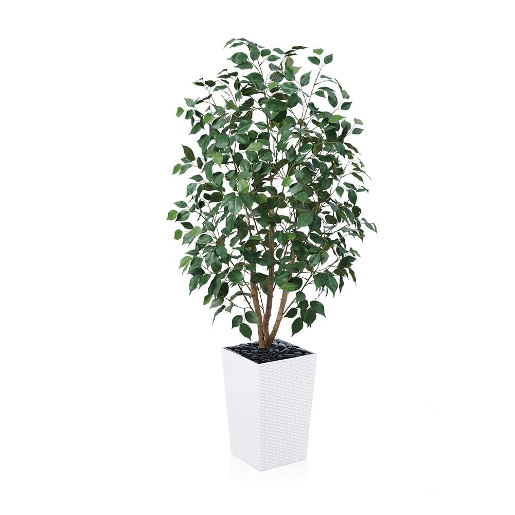 VeriNatural 5ft Artificial Ficus Tree,Tall Faux Tree with Pebbles & Planter UV Resistant Potted Fake Plant with Silk Leaves & Real Wood Trunk,Indoor Outdoor Floor Plant for Home,Living Room,VN129