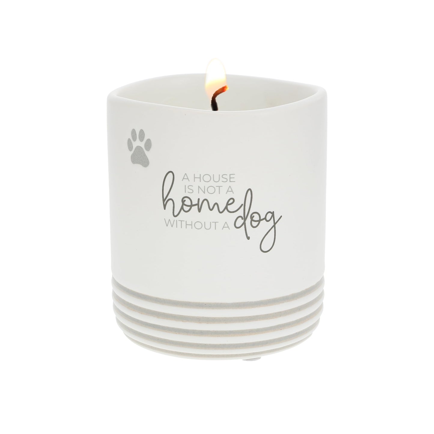 Pavilion Gift Company - Not A Home Without A Dog - 10 oz Wax Reveal Secret Surprise Message Single-Wick Jasmine Scented Candle Mom Dad Pet Parent Housewarming Gift Animal Lover Adoption Rescue Present