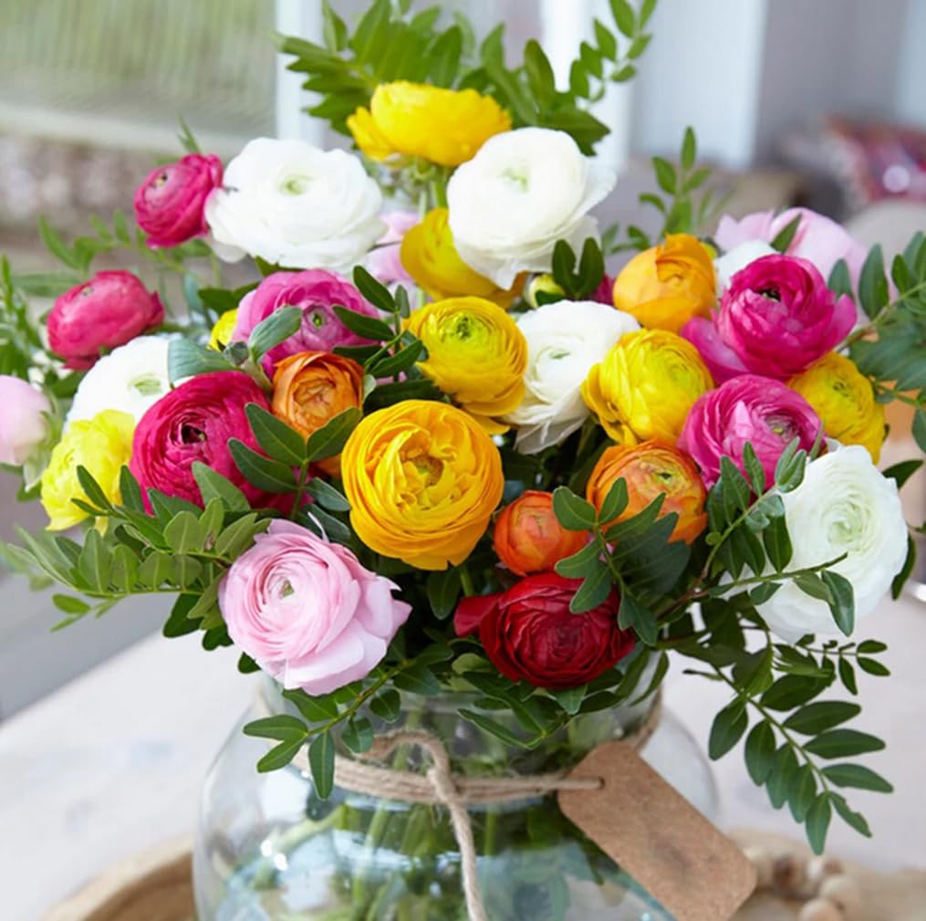10PCS Mixed Color Ranunculus Bulbs Double Buttercups Spring Rose Bulb Wedding Flower Bulbs (10bulbs)