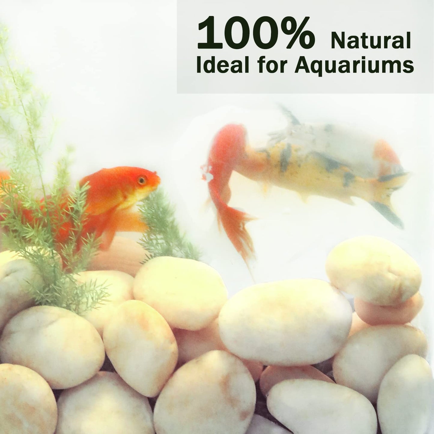 Ausluru 11LB Stones Pebbles River Rocks, 100% Natural Hand-Picked Premium Decorative Pebbles, Ideal for Garden Landscaping, Home Decor, Aquariums, Painting, Crafting and Gifts, Cream White