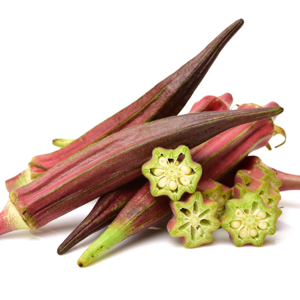 2 Red Okra Plants Live, 4 Inc Potted, Okra Live Plant, Vegetable Plants Live, 5 to 7 Inc Tall