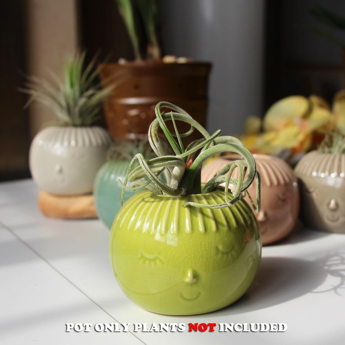SCSFCVIUS Air Plant Holder Ceramic Planter - 4PCS Porcelain Cute Air Plant Pot Planter Tillandsia Airplants Holders Home Decor (4 Cute Holders)