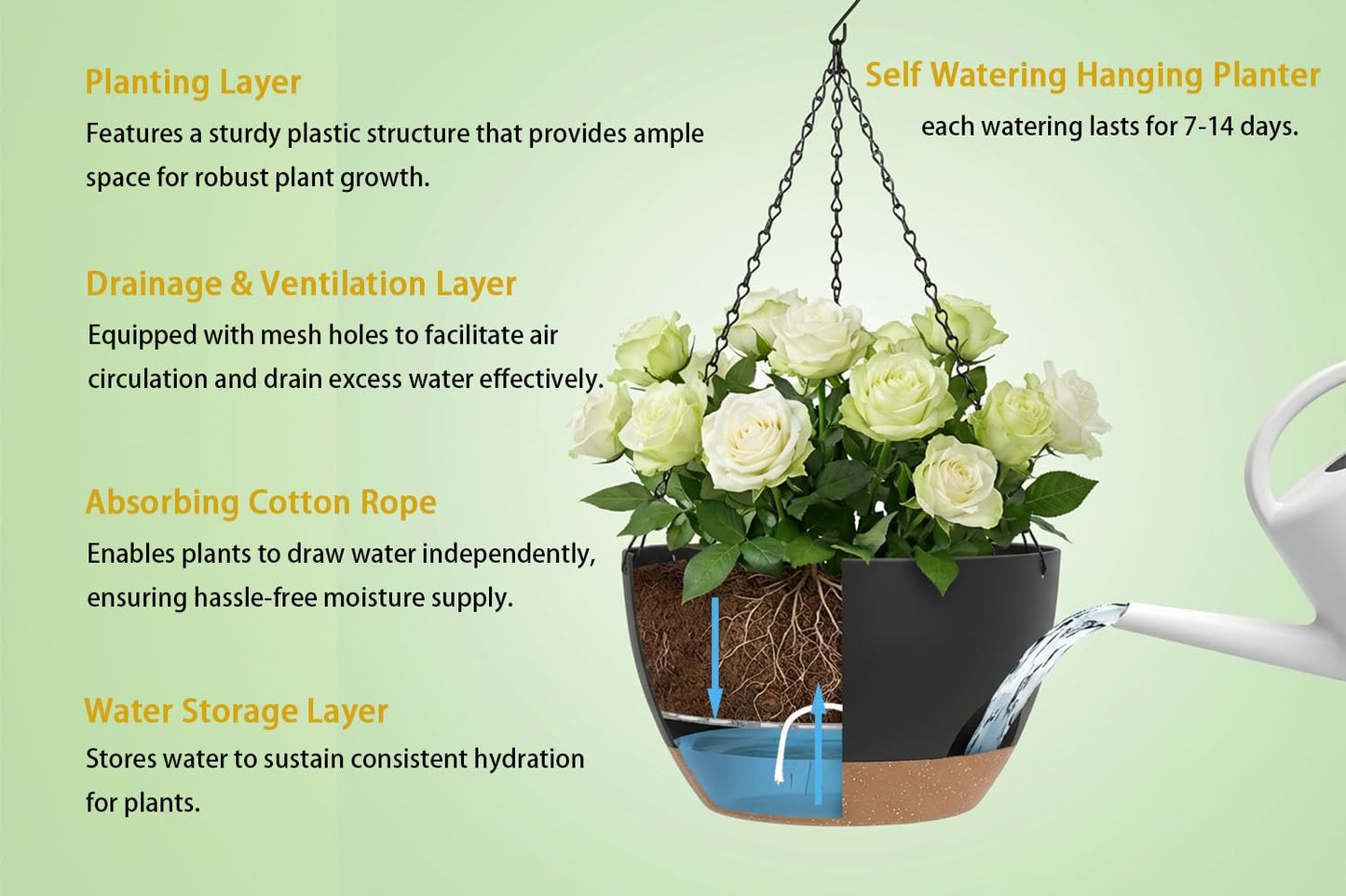 XQSHPDM Hanging Planters 3-Pack, 8 Inch Self-Watering Hanging Pots with Drainage Hole and Chains, Plastic Planters for Indoor Outdoor（Black Brown）