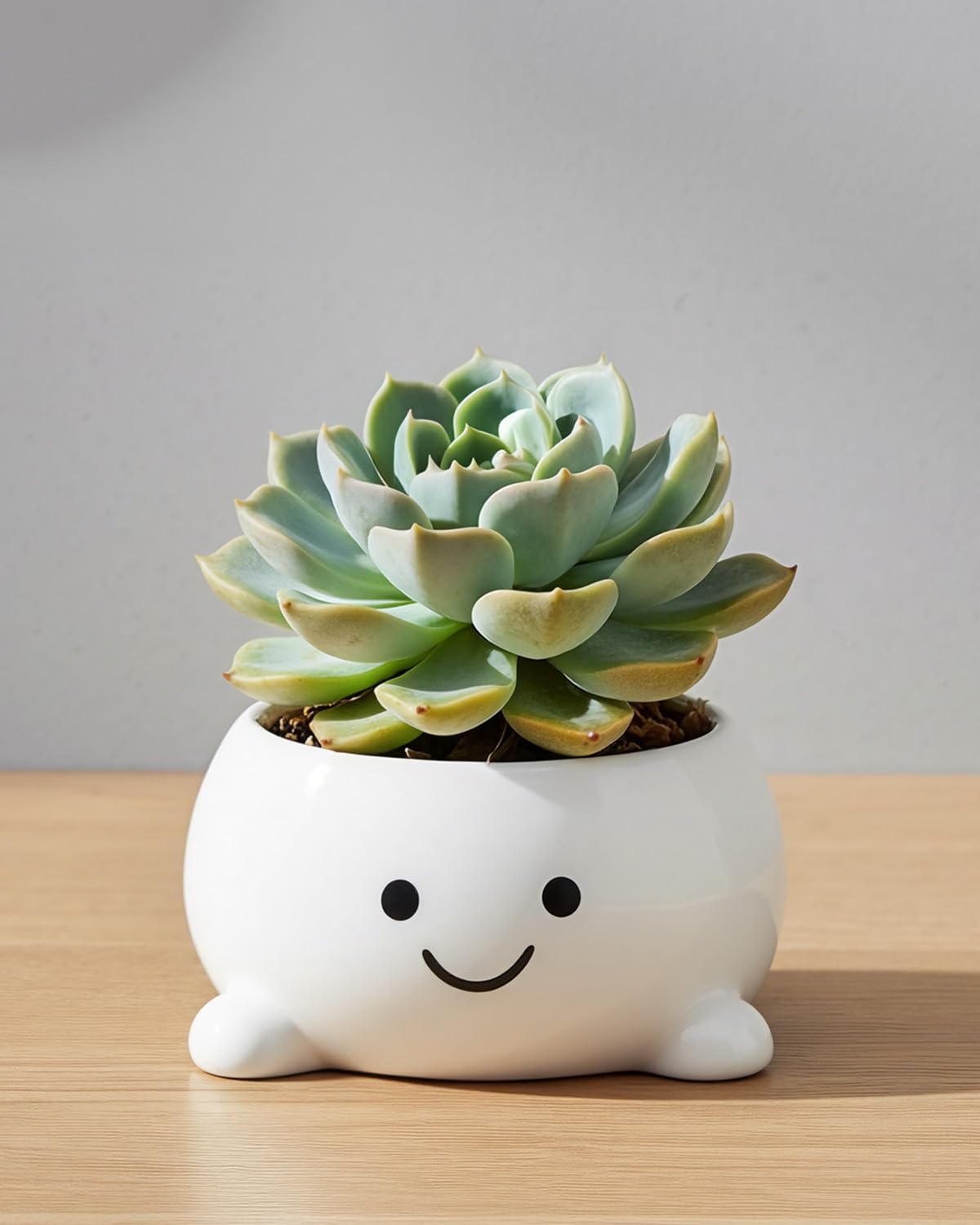 GaloTrek Smily Face Planter Pot Funny Toilet Plant Pots Cute Ceramic Flower Head Planters Succulent Pots for Indoor Outdoor Plants Unique Bathroom Planter with Drainage Hole