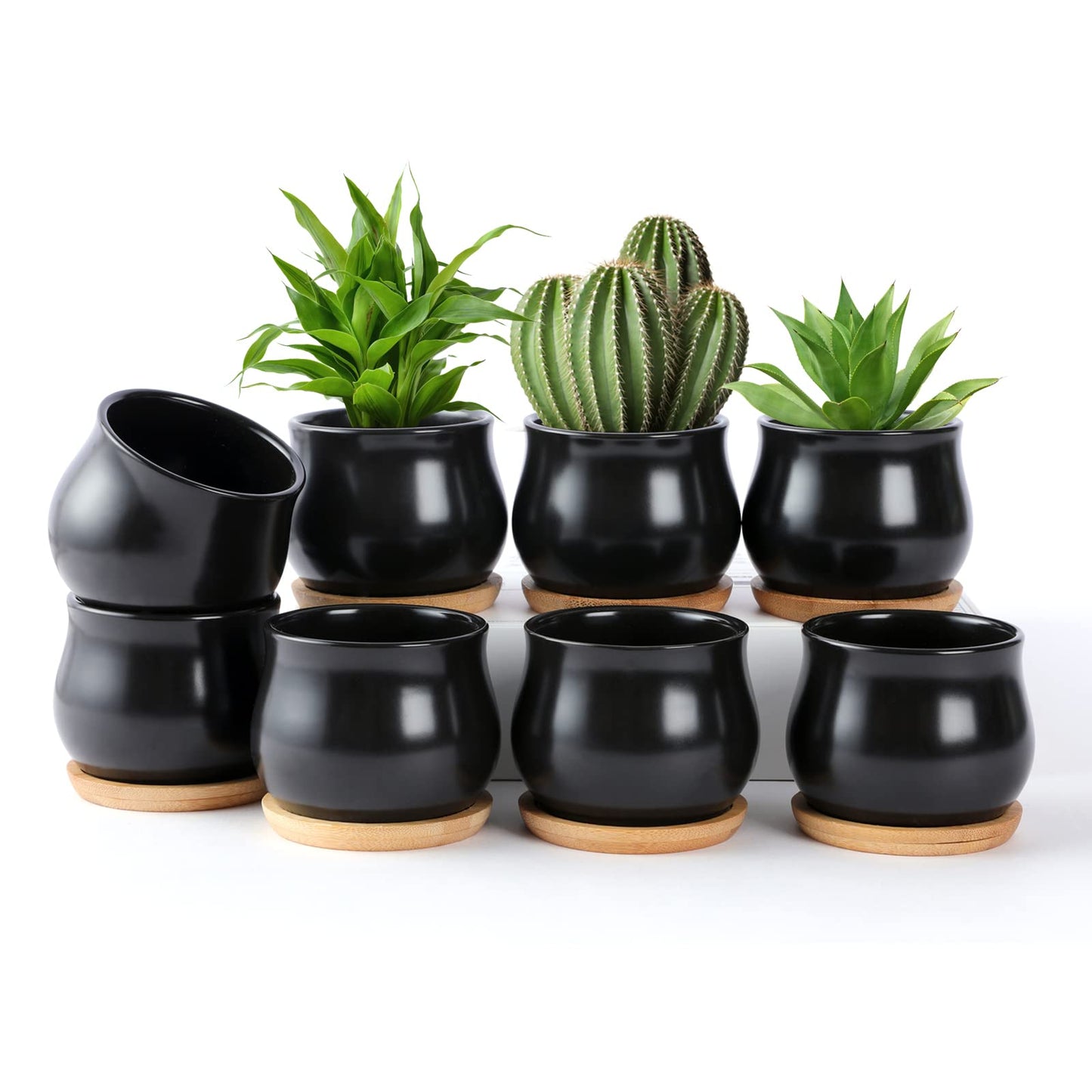 SHECIPIN 8 Pack Succulent Plant Pot, Matte Black Mini 2.6 inch Ceramic Flower Planter Pot with Bamboo Tray, Small Pots for Plants, Plants Not Included
