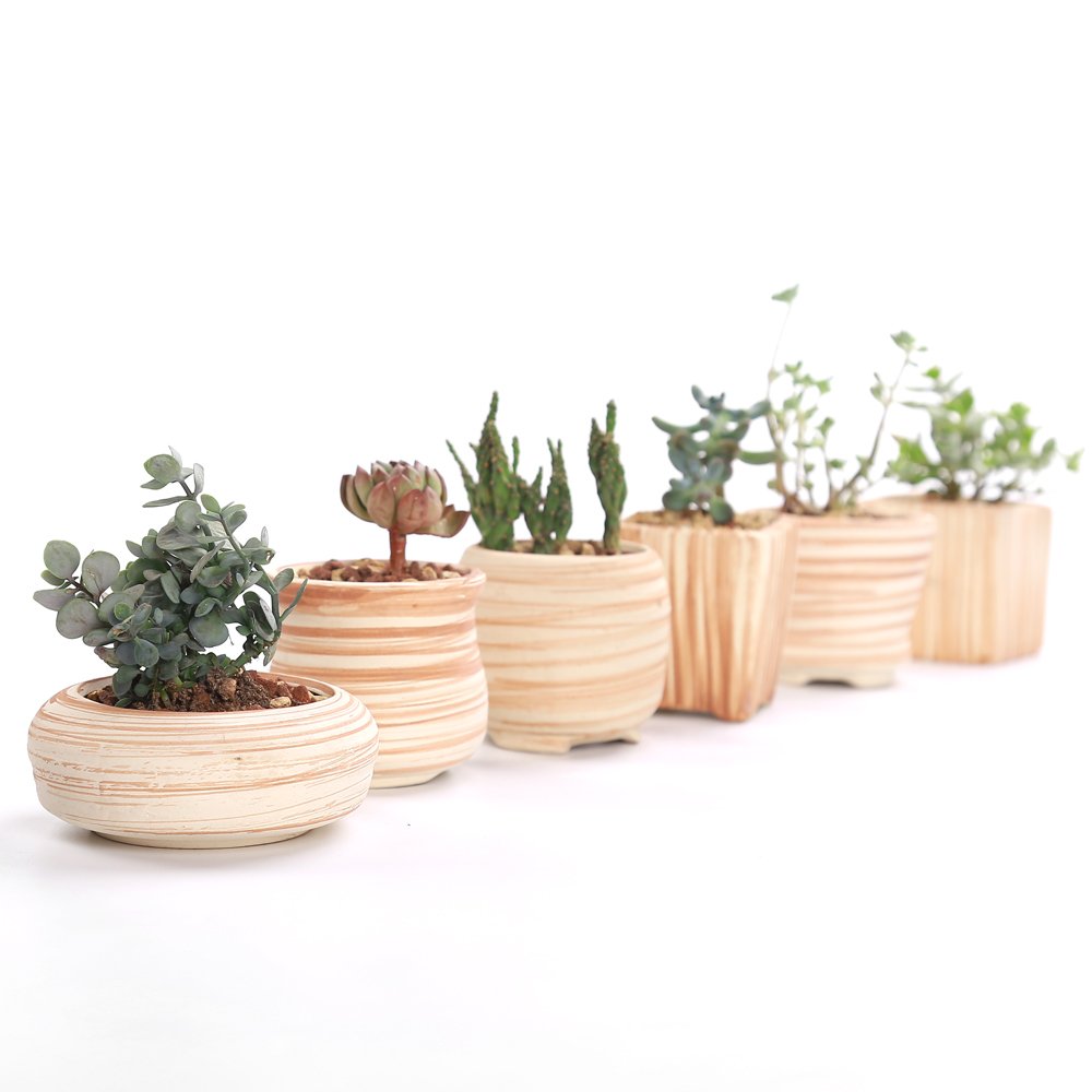Sun-E 6 in Set 7.6 cm Ceramic Wooden Pattern Succulent Plant Pot Cactus Plant Pot Flower Pot Container Planter Gift Idea