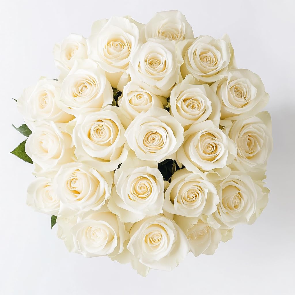GlobalRose 100 White Roses Bouquet - Responsibly Sourced Roses Fresh Flowers - Hand-Picked Flowers Fresh Bouquet for Graduation, Anniversary, Birthday & Special Occasions (4 Bunches of 25 Stems)