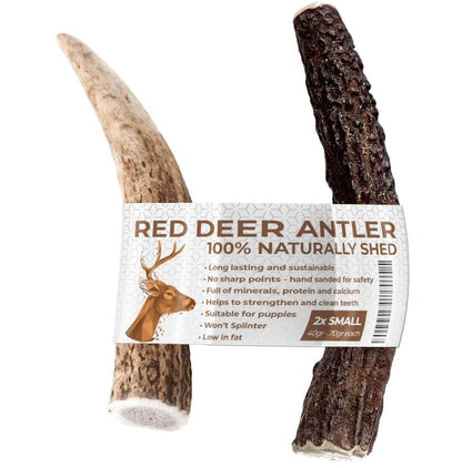 Two Antler Chews for Puppies, SMALL, Sustainable, Naturally Shed, Deer Antlers, Puppy Toys, Small Dog Toys