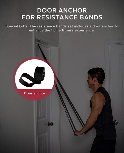 HAPBEAR Pull Up Assistance Bands Set of 5 - Resistance Bands for Working Out, Stretching, Physical Therapy, Muscle Training