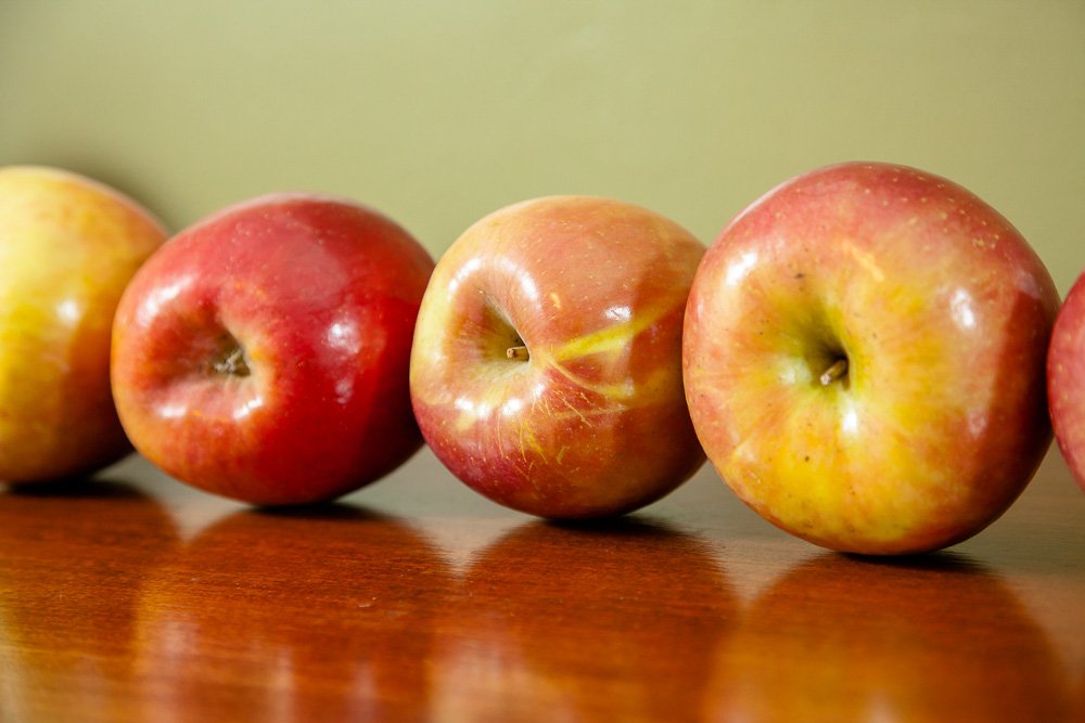 Fuji Apple Tree - Size: 3-4 ft, Live Plant, Includes Special Blend Fertilizer & Planting Guide