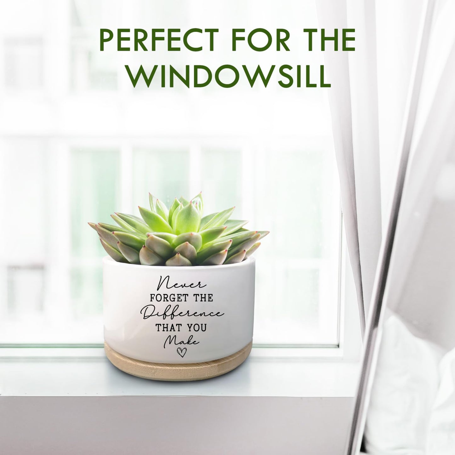 Jutasty Coworker Thank You Gifts, Funny Succulent Plant Pot, Flower Cactus Planter Gifts, Farewell Going Away Appreciation Inspirational Gifts for Women Men Boss Lady Manager Coworkers (No Plants)