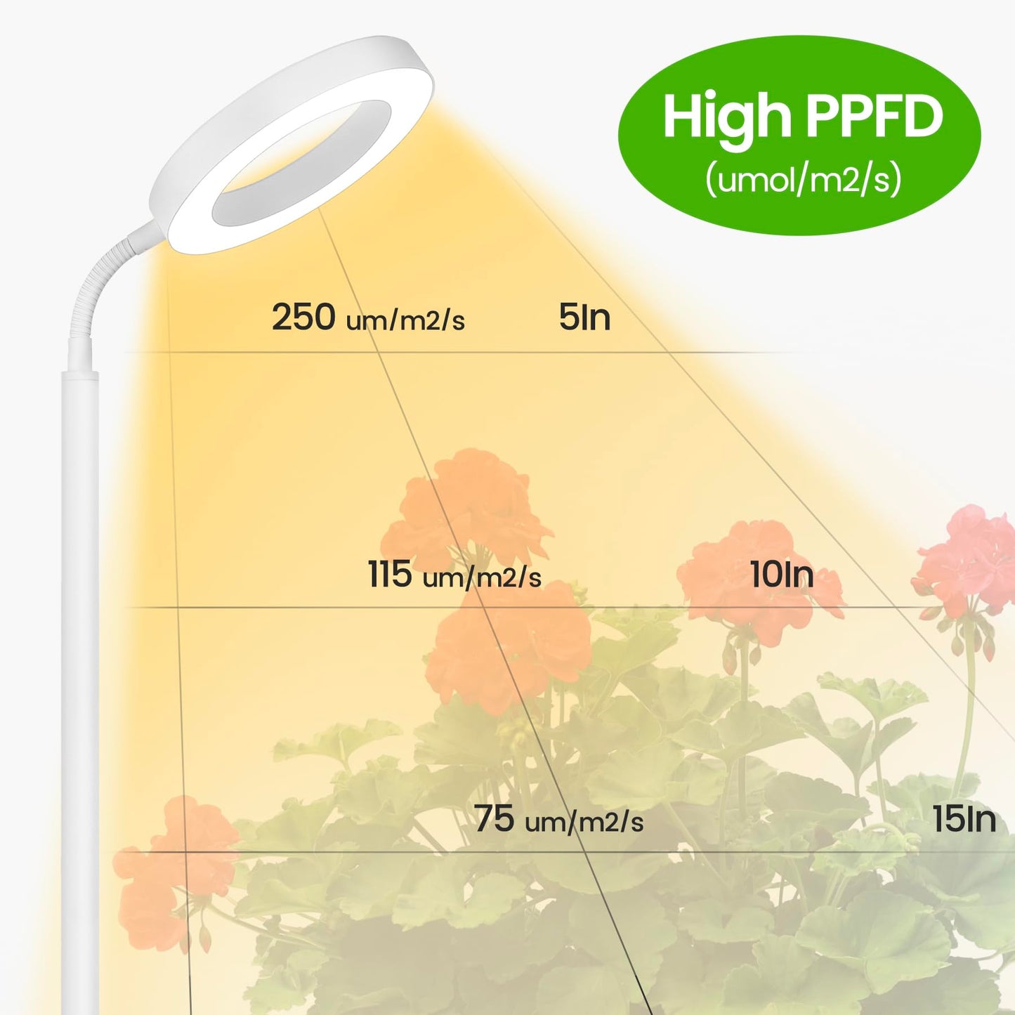 MistyJungle Grow Lights for Indoor Plants,Floor Lamp with 63IN Stand,Full Spectrum,10 Dimming,Halo Ring Warm Light, 3/9/12H Timer,Height Adjustable,Metal Stable Base Growing Light for Tall Small Plant