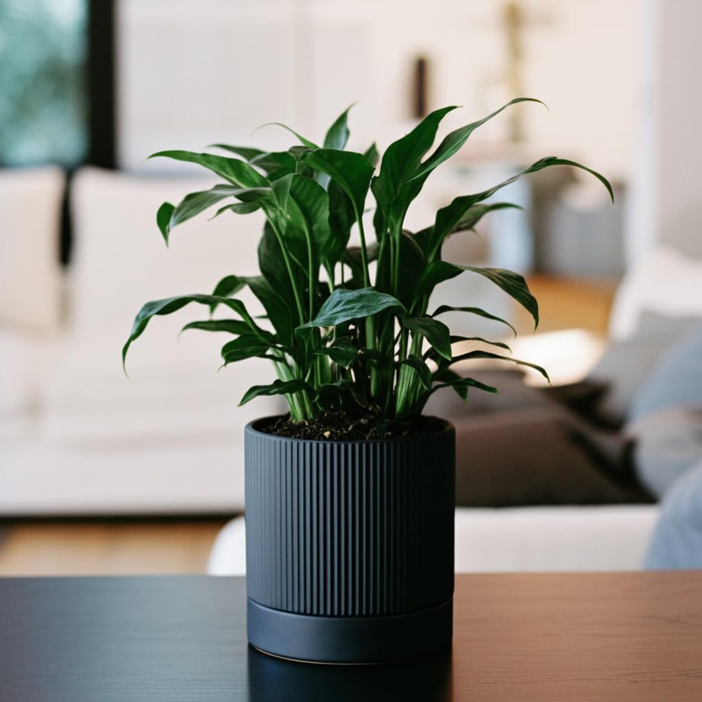 HERDUK 6 Inch Ceramic Plant Pot with Drainage & Saucer - Indoor Planter for Succulents, Cacti & Aloe Vera - Striped Design, High-Temp Fired Clay, Lightweight Modern Decor