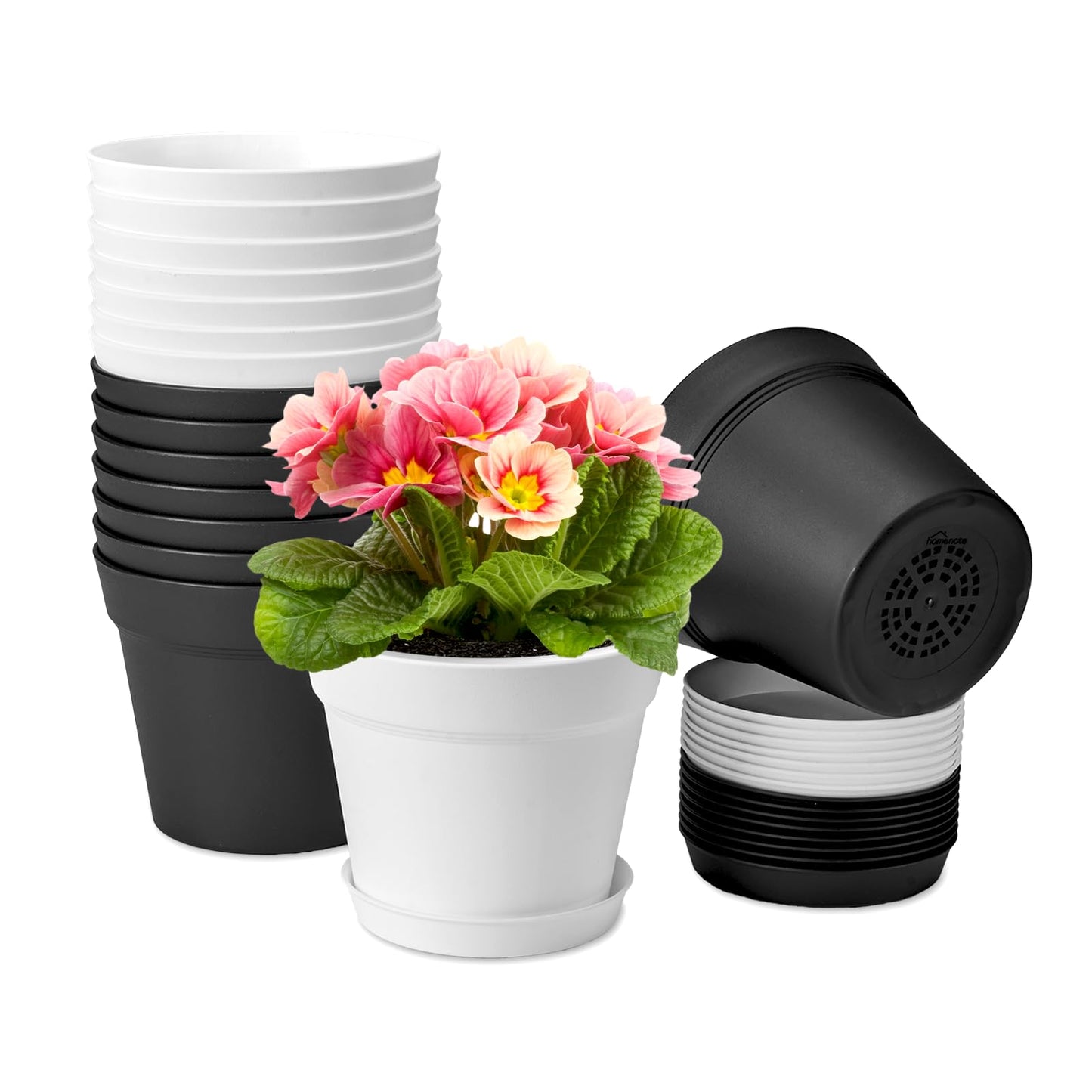 homenote Plant Pots,6 Inch Flower Pots for Plants Plastic Planters for Indoor with Multiple Drainage Holes and Trays, for All Home Garden Flowers Succulents,Outdoor(White&Black,16 Pack)
