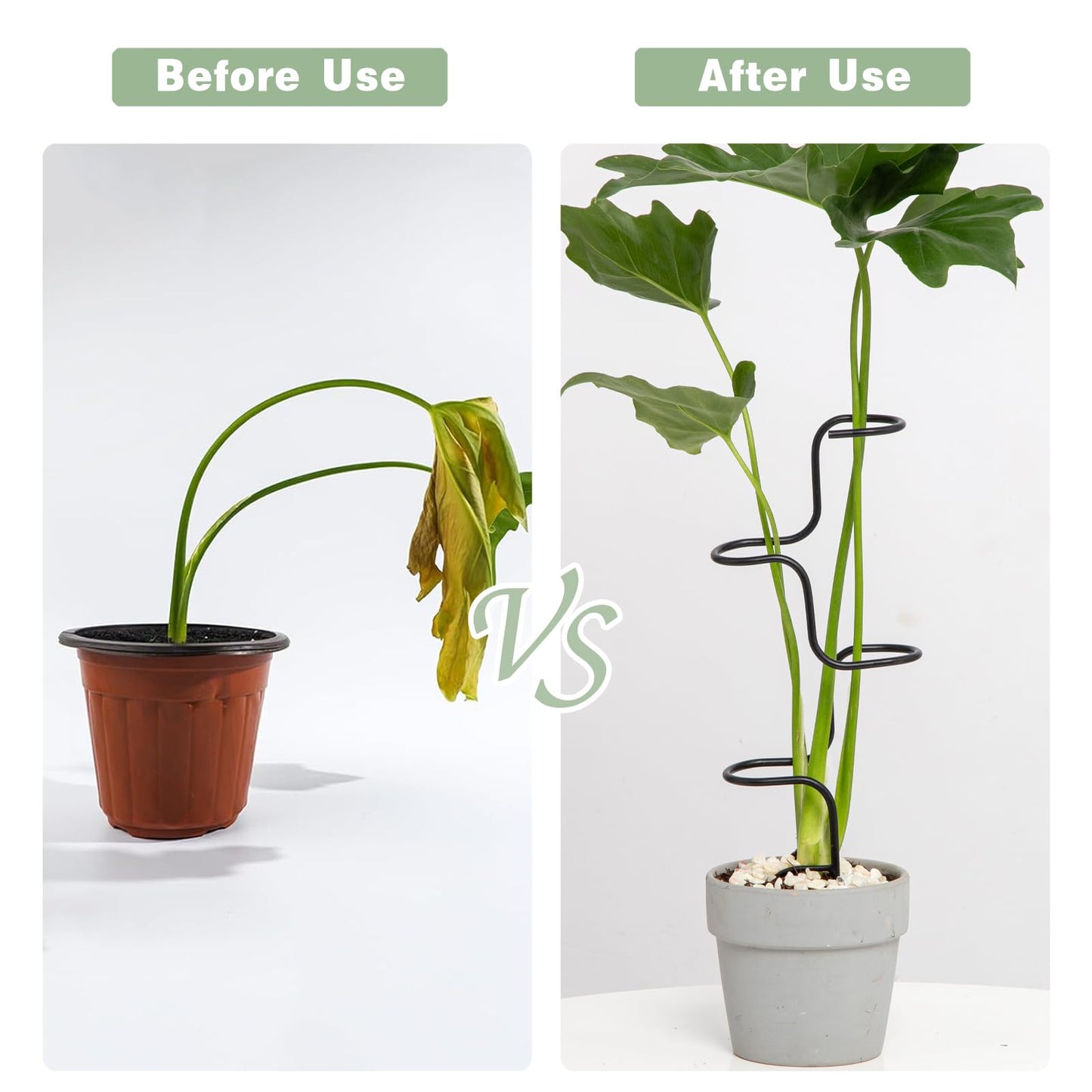 GOOOXIM 3PCS Indoor Plant Support Stakes - Sturdy Metal Trellis for Garden Flowers & Monstera, Durable & Easy to Use, Perfect for Small to Medium Indoor Plants, Ideal Gift for Plant Lovers!