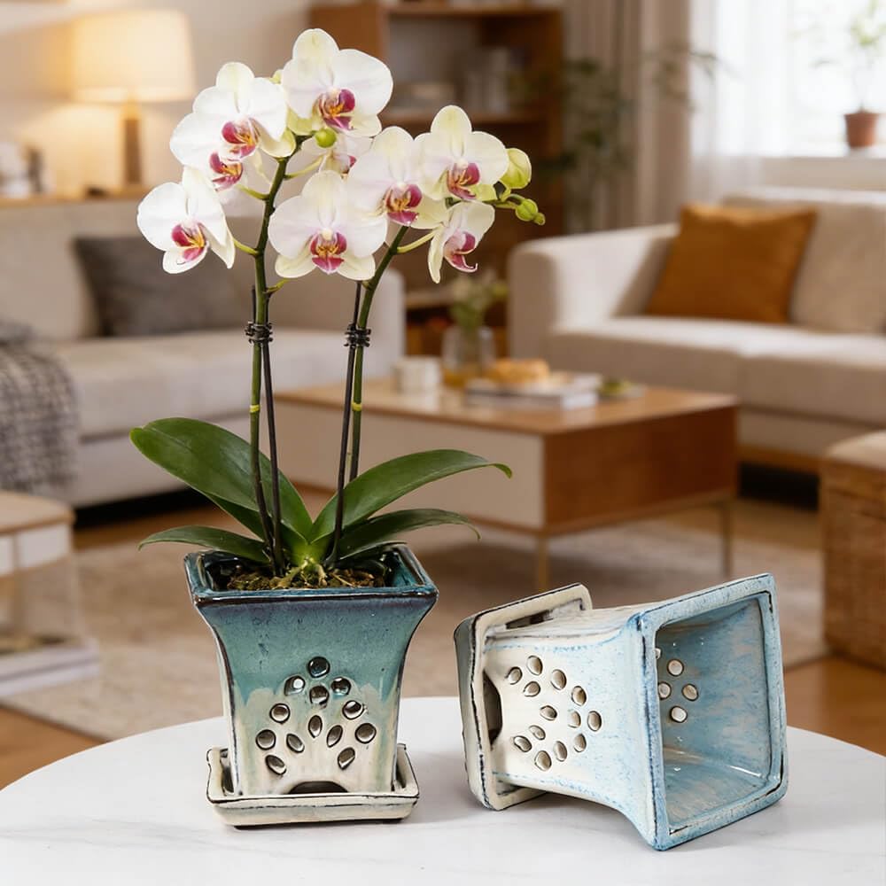 Ceramic Orchid Pots with Holes attached Saucers 4.8 Inches - Set of 2 Small Square Orchid Pots for Repotting, Decorative Ceramic Orchid Planter with Hole for Healthy Root Growth Green Blue Mixed