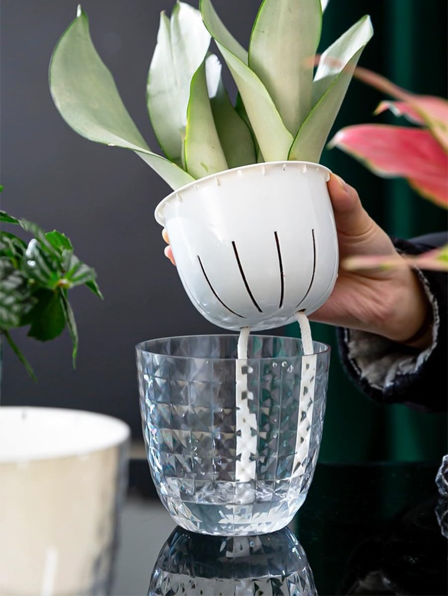 XKYQSY 2 Pack 6 inch Self Watering Pots Planters for Indoor Plants, African Violets Pots with Wick Rope, Modern Plastic Nursery Pots for All House Plants,Flowers Succulents,Herbs,Cactus,Orchids