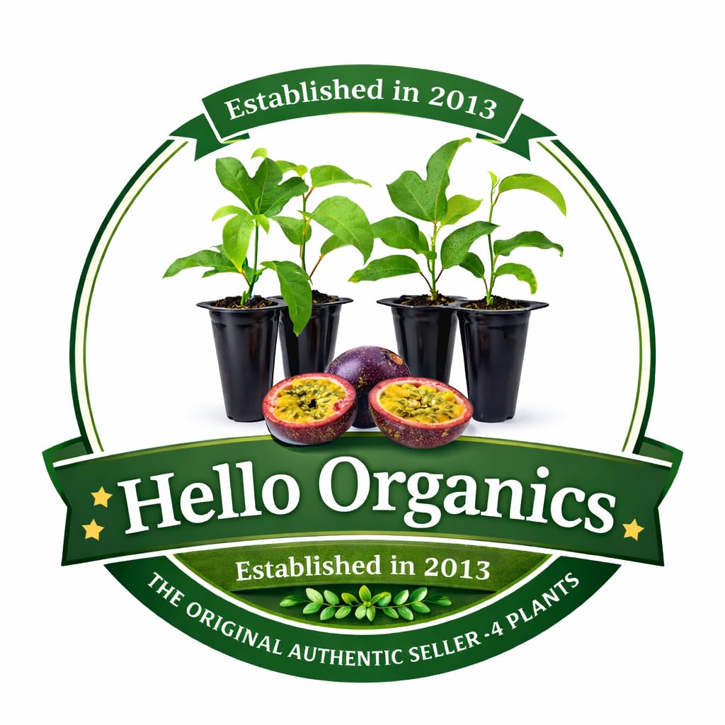 Passion Fruit Possum Purple Price Includes Four (4) Plants
