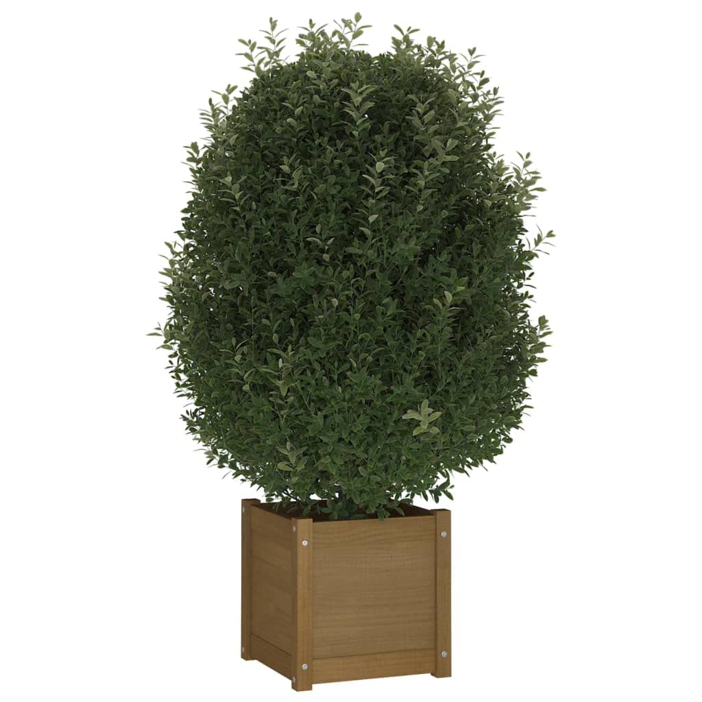 ZXQVLMRS Square Garden Planter Box, 15.7 Inch Solid Pinewood Flower Pot for Outdoor Patio, Backyard, Deck, and Indoor Home Decor, Honey Brown Stained Finish