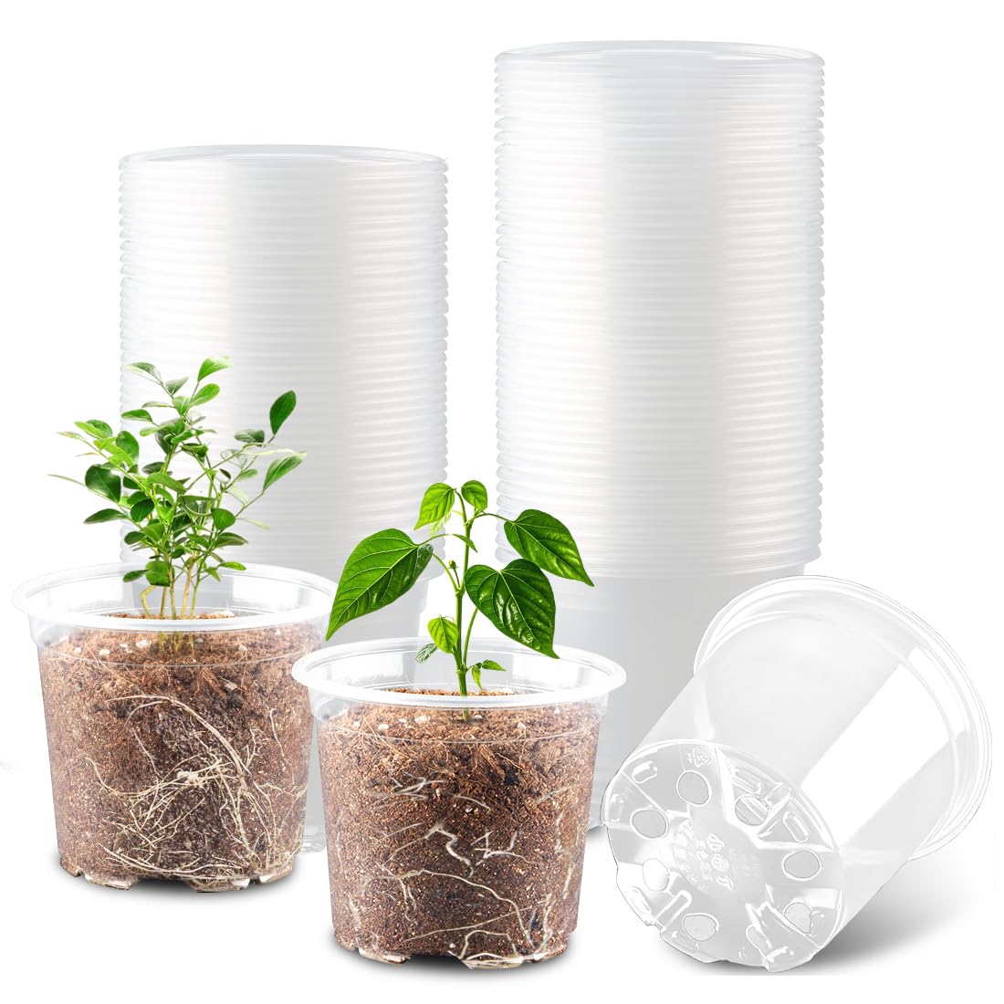 RooTrimmer 100 Pack 4 Inch Clear Plant pots with Drainage Holes, Transparent Nursery Seeding Pots, Flexile Seeds Starter Pots, Seeds Germination (4Inch,100P,Clear)