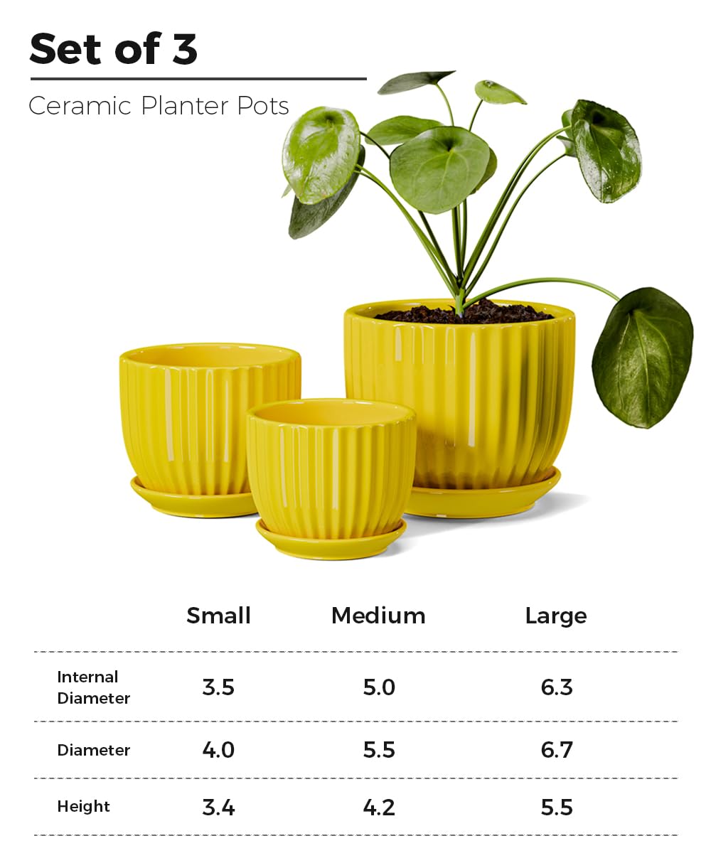 Ton Sin Ceramic Flower Pots,Yellow Plant Pots for Indoor Plants,4.1+5.1+6.5 inch Ceramic Plant Pots with Tray,Medium Indoor Planters for Aloe Cactus Decorative Pots with Drainage Hole (Set of 3)